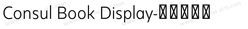 Consul Book Display字体转换